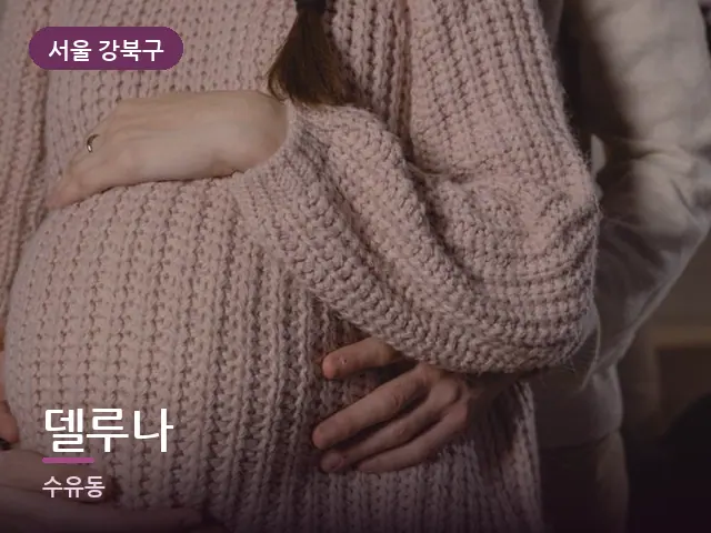 서울 강북구 델루나 — 임신기 관리