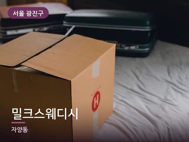 서울 광진구 밀크스웨디시 — 객실의 여행 가방