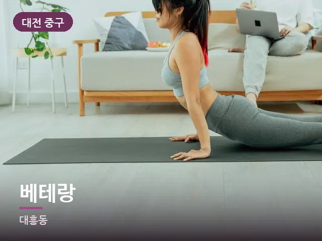 대전 중구 베테랑 — 집 안의 매트