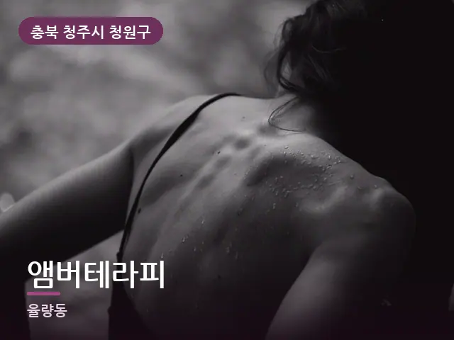 충북 청주시 청원구 앰버테라피 — 등·척추 관리