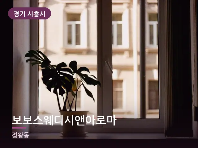 경기 시흥시 보보스웨디시앤아로마 — 창가의 식물