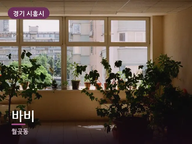 경기 시흥시 바비 — 창가의 식물