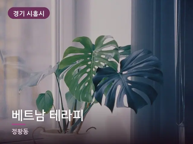 경기 시흥시 베트남 테라피 — 창가의 식물