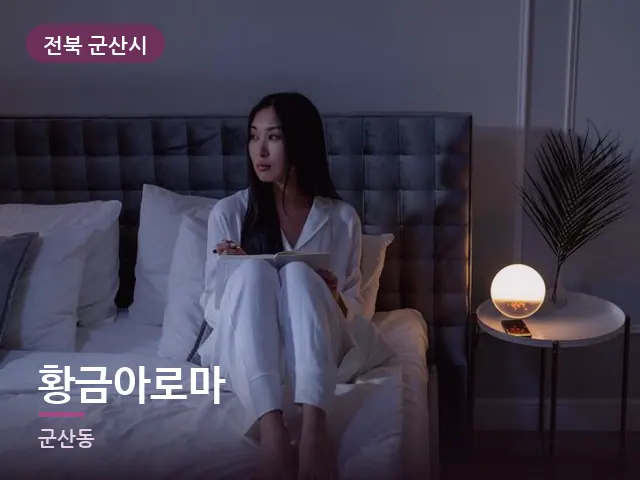 전북 군산시 황금아로마 — 머리맡 조명