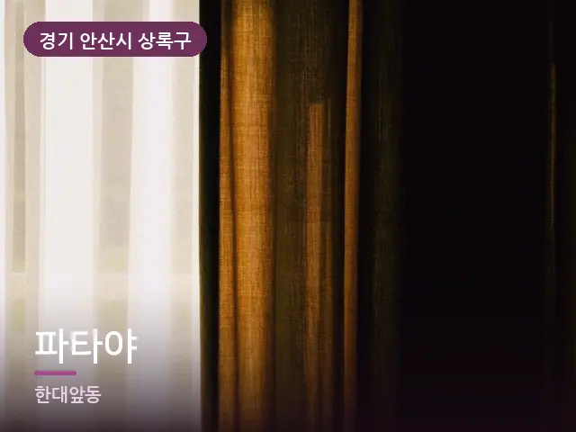 경기 안산시 상록구 파타야 — 아침 빛이 드는 방