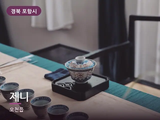 경북 포항시 제니 — 휴식 중의 차