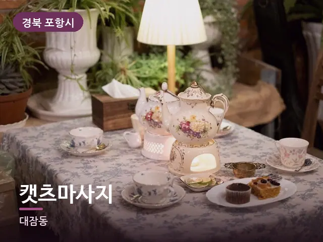 경북 포항시 캣츠마사지 — 휴식 중의 차