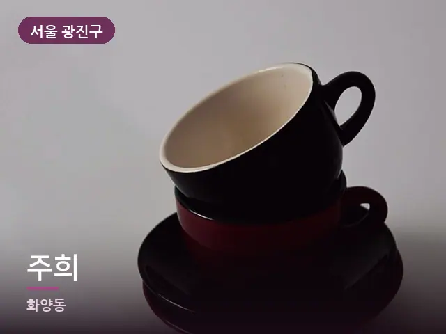 서울 광진구 주희 — 휴식 중의 차