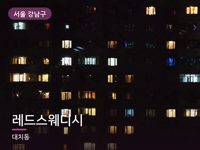 서울 강남구 레드스웨디시 — 창밖 야경