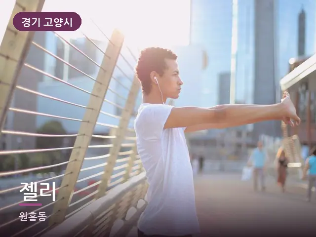 경기 고양시 젤리 — 러너의 스트레칭