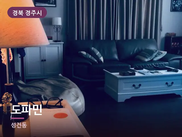 경북 경주시 도파민 — 머리맡 조명