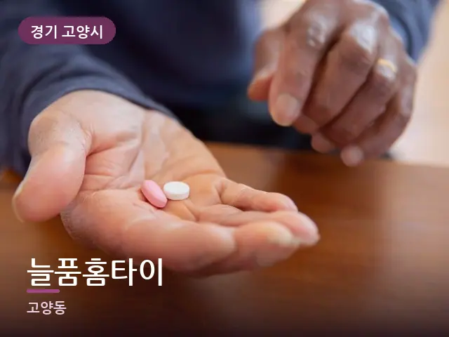 경기 고양시 늘품홈타이 — 어르신 관리