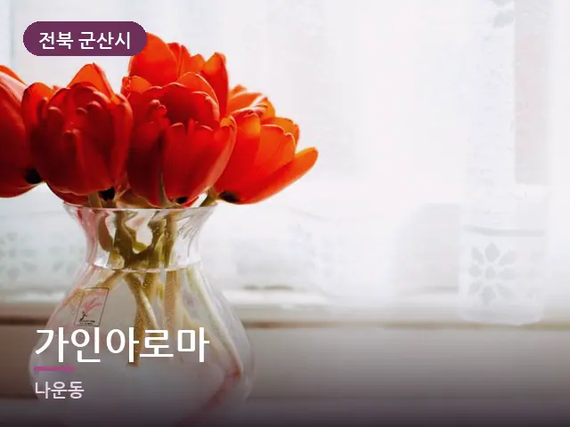 전북 군산시 가인아로마 — 창가의 식물