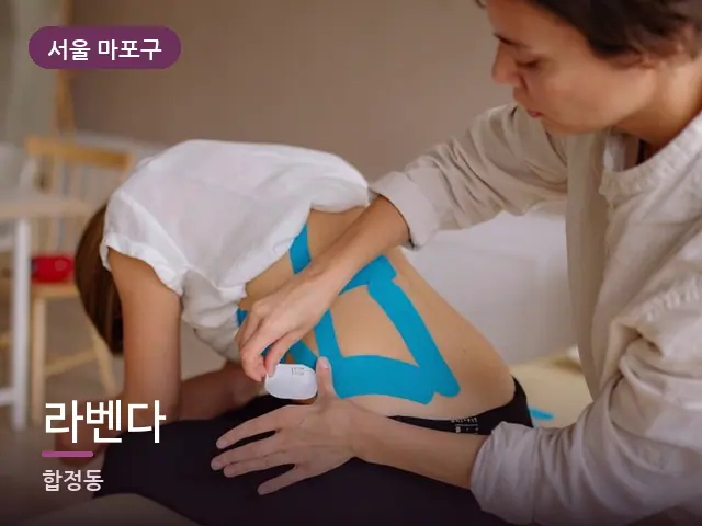 서울 마포구 라벤다 — 등·척추 관리