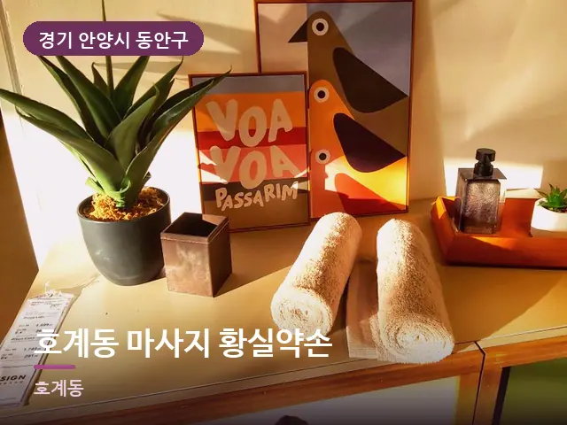 경기 안양시 동안구 호계동 마사지 황실약손 — 말아 둔 수건