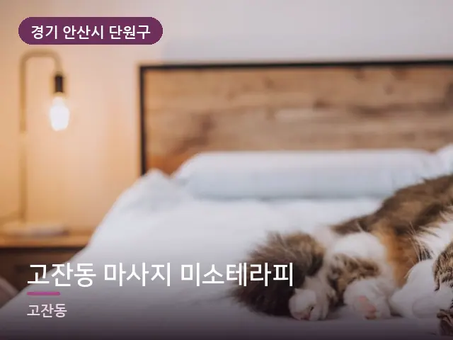 경기 안산시 단원구 고잔동 마사지 미소테라피 — 머리맡 조명