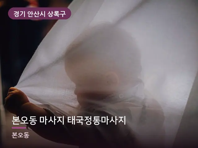 경기 안산시 상록구 본오동 마사지 태국정통마사지 — 아침 빛이 드는 방