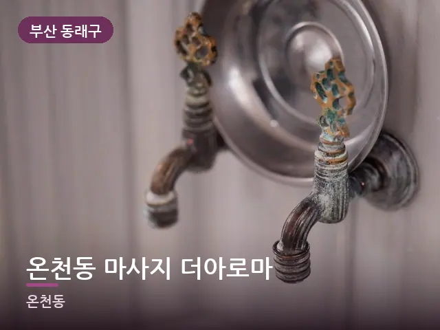 부산 동래구 온천동 마사지 더아로마 — 족욕 대야