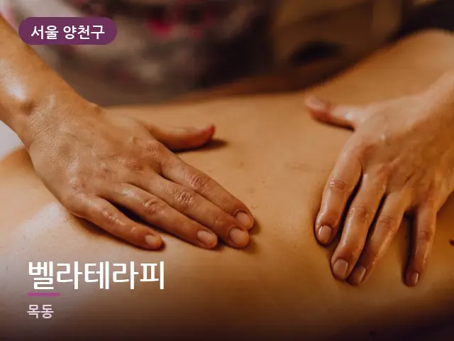 서울 양천구 벨라테라피 — 이동식 마사지 베드