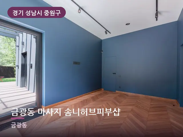 경기 성남시 중원구 금광동 마사지 솜니허브피부샵 — 원목 바닥의 방