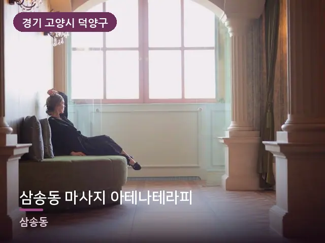 경기 고양시 덕양구 삼송동 마사지 아테나테라피 — 호텔 스위트 내부