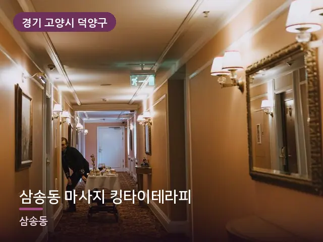 경기 고양시 덕양구 삼송동 마사지 킹타이테라피 — 호텔 스위트 내부