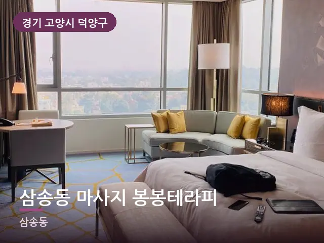 경기 고양시 덕양구 삼송동 마사지 봉봉테라피 — 호텔 스위트 내부