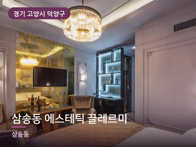 경기 고양시 덕양구 삼송동 에스테틱 끌레르미 — 호텔 스위트 내부
