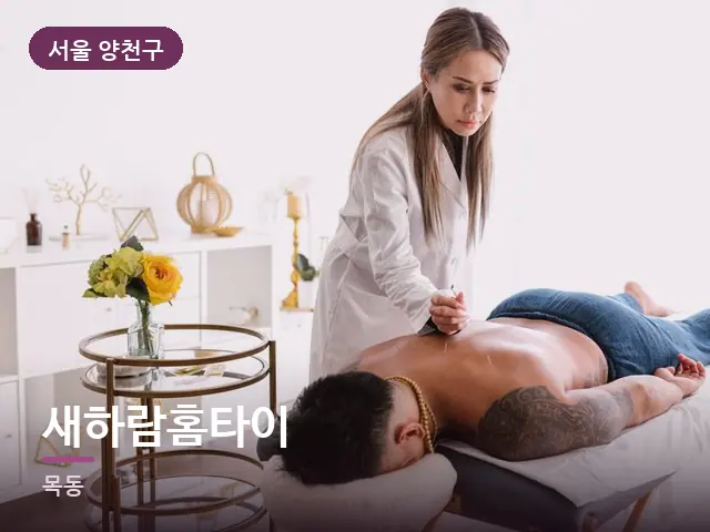 서울 양천구 새하람홈타이 — 이동식 마사지 베드