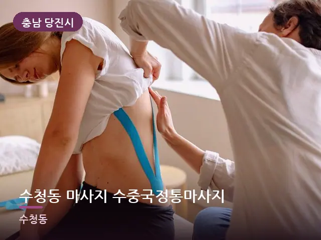 충남 당진시 수청동 마사지 수중국정통마사지 — 등 관리 장면