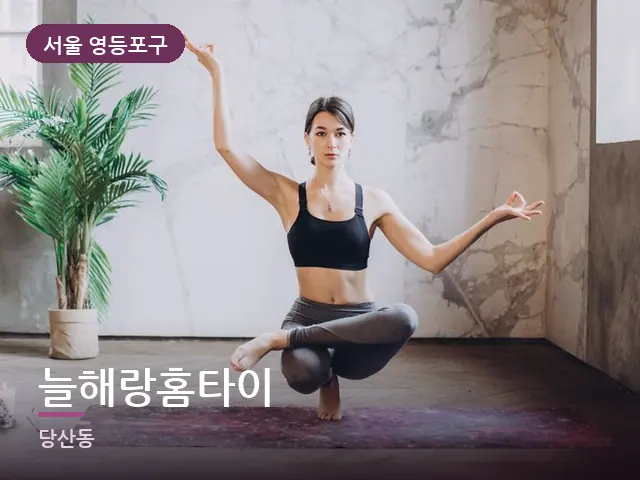 서울 영등포구 늘해랑홈타이 — 집 안의 매트