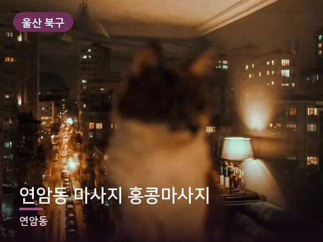 울산 북구 연암동 마사지 홍콩마사지 — 창밖 야경