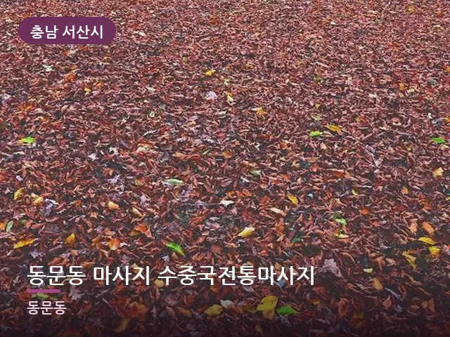 충남 서산시 동문동 마사지 수중국전통마사지 — 온찜질 수건