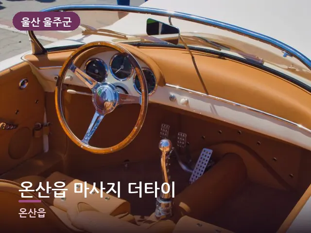 울산 울주군 온산읍 마사지 더타이 — 오피스텔 실내