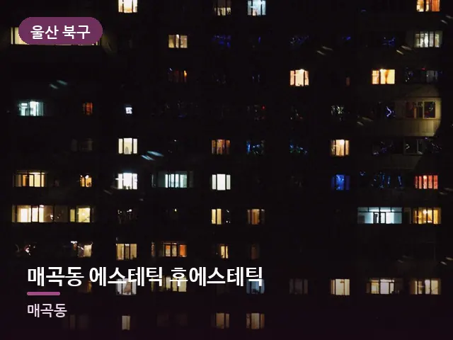 울산 북구 매곡동 에스테틱 후에스테틱 — 창밖 야경