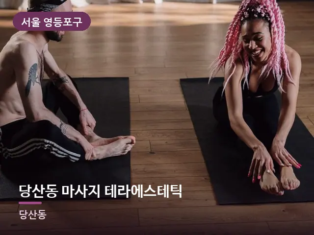 서울 영등포구 당산동 마사지 테라에스테틱 — 집 안의 매트