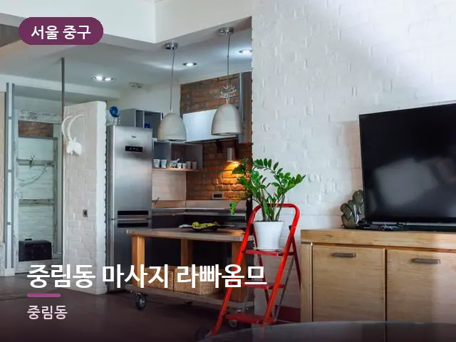 서울 중구 중림동 마사지 라빠옴므 — 아파트 실내