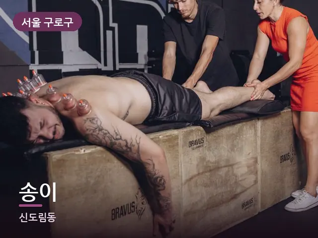 서울 구로구 송이 — 이동식 마사지 베드