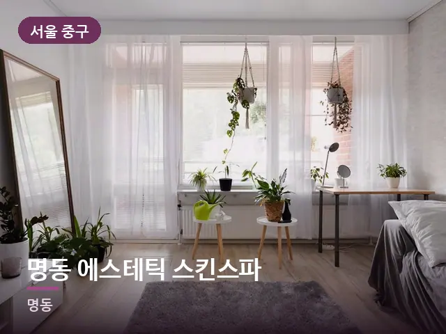 서울 중구 명동 에스테틱 스킨스파 — 아파트 실내
