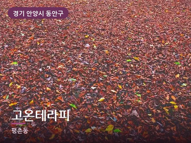 경기 안양시 동안구 고온테라피 — 온찜질 수건
