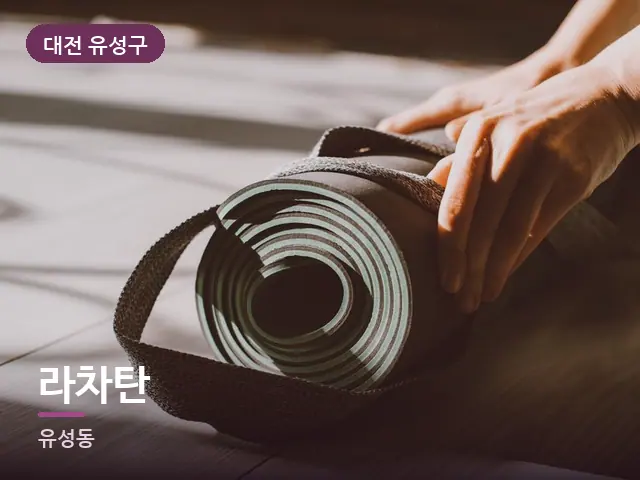 대전 유성구 라차탄 — 집 안의 매트