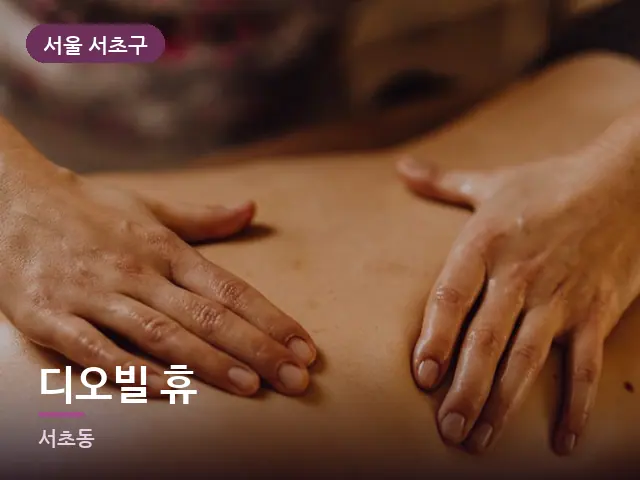 서울 서초구 디오빌 휴 — 이동식 마사지 베드