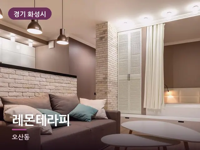 경기 화성시 레몬테라피 — 소파와 쿠션