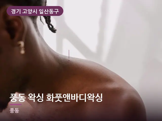 경기 고양시 일산동구 풍동 왁싱 화풋앤바디왁싱 — 어깨 뭉침 관리