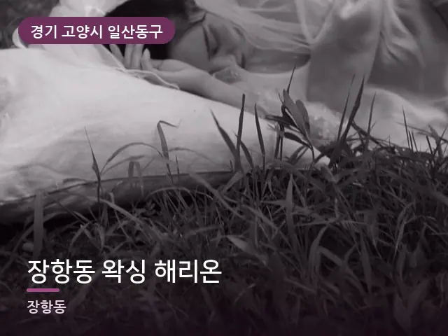 경기 고양시 일산동구 장항동 왁싱 해리온 — 흰 베개