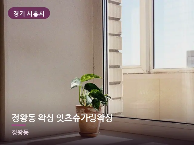 경기 시흥시 정왕동 왁싱 잇츠슈가링왁싱 — 창가의 식물