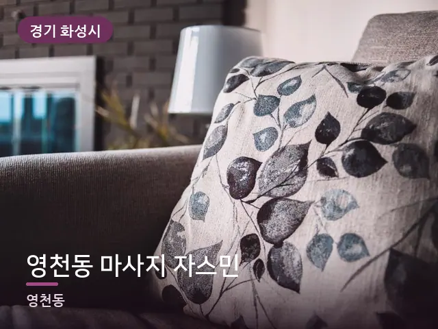 경기 화성시 영천동 마사지 자스민 — 소파와 쿠션