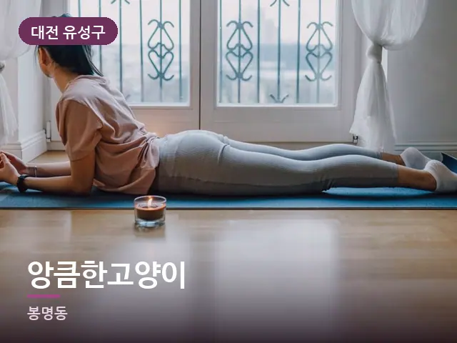 대전 유성구 앙큼한고양이 — 집 안의 매트