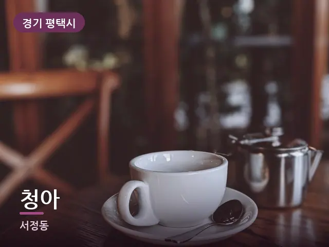 경기 평택시 청아 — 휴식 중의 차