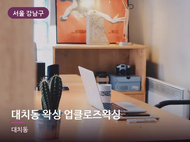 서울 강남구 대치동 왁싱 업클로즈왁싱 — 오피스텔 실내
